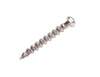 Iron Screw Stainless Steel Screw