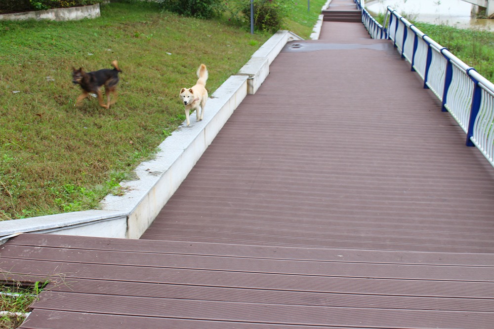 wpc decking used for terrace